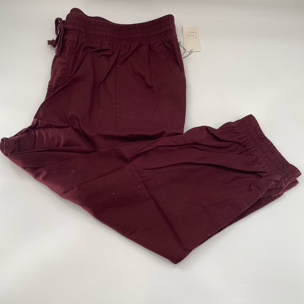A New Day Burgundy Joggers 3X